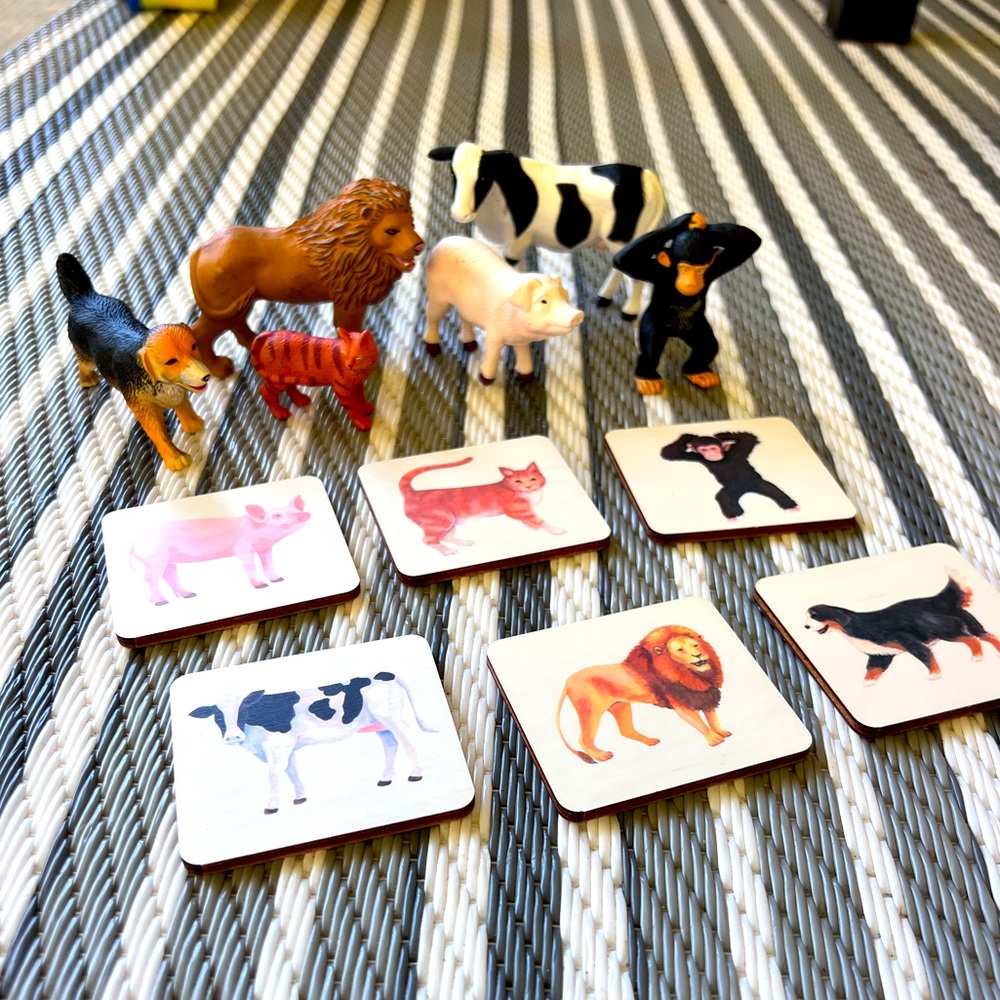 LoveEvery Animal Matching Toys